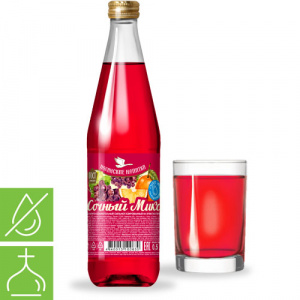 Напиток "Сочный микс"*12